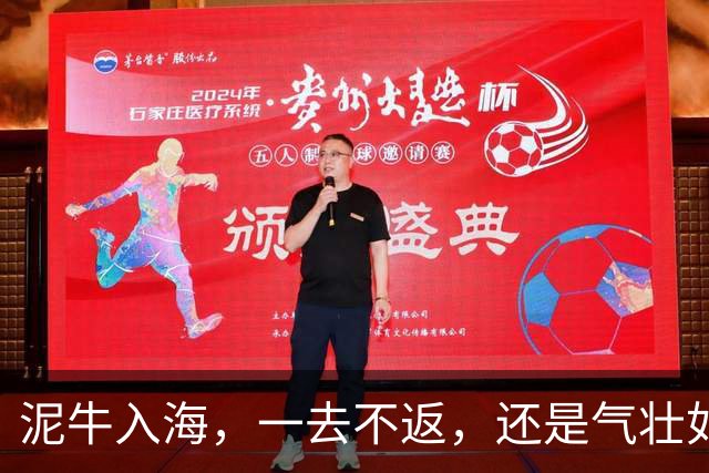 泥牛入海，一去不返，还是气壮如牛，卷土重来？这些新星给出了答案